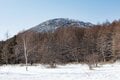 【春の雪山登山入門におすすめ】気軽に楽しめる絶景雪山ルート「湯ノ丸山」への画像010