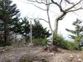 秘境感漂う静かな低山「鹿倉山」 神々しい社＆苔むす岩々と展望のハイキング【京都府福知山市・兵庫県丹波篠山市】の画像015