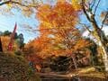 知る人ぞ知る！ 京都「紅葉名所」鉄板エリアでも穴場「三尾の古刹」へ！ しずかな絶景「錦雲渓」ハイキングレポの画像002