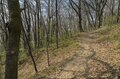 「“短かすぎる”けど絶景！」 見頃のお花見スポットをつなぐ、アルプス展望ハイキングルート【松本市】2025年の画像003