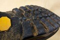 【アウトドア豆知識】シューズの買い替え時は「使用年数」と「ソールの角」を目安にすべしの画像004