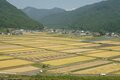 幻のコシヒカリ『雪ほたか』 道の駅 川場田園プラザ「かわばんち」で味わう “皇室献上米おにぎり” は納得の美味しさ【群馬県 川場村】の画像003