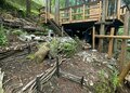 ＜手間暇を惜しまない＞森を整える「循環型工法」での道＆土留め作り【ユーコンカワイのシン・サウナ村建設記 vol.7】の画像002