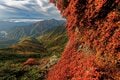 “秋山”最強コンボ【紅葉と渓谷トレッキング・第3回】10月初旬から見ごろ！ 麓には国内屈指の渓谷美「西沢渓谷」を抱える百名山「甲武信ヶ岳」の画像003