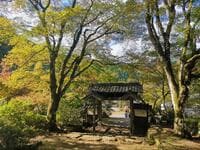 紅葉の絶景「トンネル＆カーペット」あり！ 見ごろは12月上旬まで「丹波紅葉三山」ほどよい秘境「兵庫の穴場3寺院」レポート