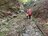 自由で気ままでも… 魅惑の「ソロ登山」に潜むリスクとは！？ デビュー前に知るべき「トラブル＆アクシデント」実体験レポの画像004