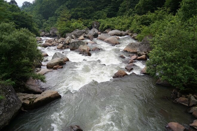 長野と新潟にまたがる避暑地「斑尾高原」は遊びがいっぱい！「ジップライン」で風切る気持ちよさは“標高の高さ”がもたらすプレゼント！の画像014