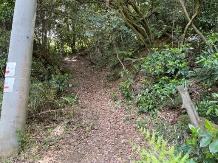 室町時代の謂れが残る大阪近郊日帰りハイキングルート「星田古道」裏山新緑トレイルの魅力【里山アドベンチャー！ソトアソ日和 vol.10】の画像006