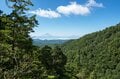 【首都圏近郊おすすめルート】金峰山へと続く幻の古道「御嶽道」が想像以上に素晴らしい！  実地踏査レポートの画像009