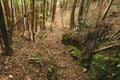 【NHK大河『豊臣兄弟！』ゆかりの城】見たこともない “逆Yの字” 竪堀に驚愕！「土佐国・内田城〈後編〉」（高知県東洋町）【戦国の山城を攻める vol.12】の画像016