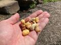 「高カロリー＆飽きない」登山のエネルギー補給に「無印良品」の食品「おいしい行動食・非常食」5選！の画像001