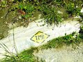 「この先の景色が見たい！」2日がかりで歩いたコースでアルプスの野生動物とも遭遇！【ブーツの国の街角で「モンブラン・トレイル・コース」イタリア／ヴァッレ・ダオスタ州】の画像005