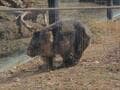 何でもござれの「なにわのレジャースポット・五月山」！  登山＆展望台＆動物園… 低山でも「1日では時間が足りない」現地レポ【大阪府池田市】の画像003