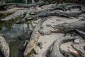 【ニッポン地獄めぐりの旅】温泉天国のこの国は“地獄”だらけ！？  全国の「地獄事情」を検証するの画像009