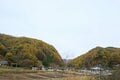 「八ヶ岳×紅葉×秘湯×高原グルメ」の贅沢プラン！  11月の ”おすすめドライブコース国道141号線” が紅葉の最盛期の画像006