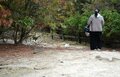 野生のウサギが500匹！  テントでも泊まれる「無人のウサギ島」広島・大久野島での「見たことのない光景」【画像】の画像005