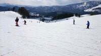 春スキーで行きたい！  大阪から2時間「日帰り＆初心者に最適のスキー場」3選！  雪たっぷりの今年は最高積雪を更新したゲレンデも