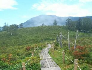 6月が見ごろ「甘利山のレンゲツツジ」 山頂からは富士山の絶景も！  登山デビューに最適「駐車場から30分＆周回1時間アレンジ」現地レポ