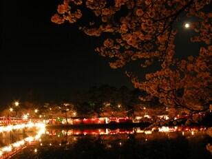 GWまで余裕で滑れる豪雪地帯！【上越・妙高エリアで春スキー】 アフタースキーは「夜空を淡いピンクに染める4000本の桜」【高田城址公園の日本三大夜桜】へ！ ＜新潟県上越市＞