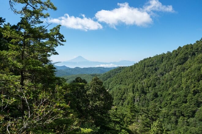 【首都圏近郊おすすめルート】金峰山へと続く幻の古道「御嶽道」が想像以上に素晴らしい！  実地踏査レポートの画像009