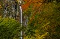 【上信越高原国立公園】復活と同時に大人気！！  “2つの滝の絶景” を楽しめる贅沢トレッキング「米子大瀑布」長野県須坂市・2023年の画像011