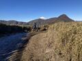 【2025年初登り】新年を祝う「富士山の絶景」を心ゆくまで堪能！  混雑知らずの静かな山頂「明神ヶ岳」金時見晴パーキングからハイキング「現地レポ」の画像001