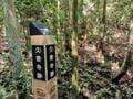 豊臣秀吉も来た！  兵庫県の国史跡「多田銀銅山遺跡」の坑道「間歩」探検と鉱山遺跡巡りハイキングの旅の画像015
