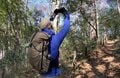 【ちょっと上手くなっちゃうかも！？】スマホで撮る「登山記録の写真」一度は試したい「2つの簡単な撮影テクニック」登山道から実践レポートの画像005