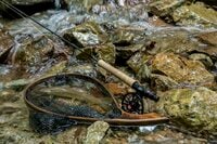 【渓流釣り】濃い魚影、素直な反応、そして良型イワナが飛び出した飛騨の渓！  岐阜県｜2026年