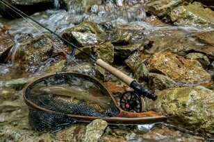 【渓流釣り】濃い魚影、素直な反応、そして良型イワナが飛び出した飛騨の渓！  岐阜県｜2026年
