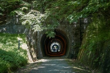 碓氷峠 自然と歴史と非日常が交差する「碓氷峠 廃線ウォーク」特別ツアーで