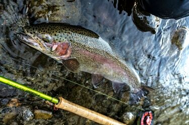 犀川本流】賑わうトラウトフィッシングの聖地！ 2022年“セカンド