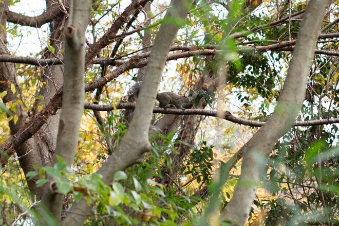 都市部で2時間「駅からハイキング」横浜市金沢区「大丸山」レポ！思わず嬉しくなる“街チカ”とは思えない、豊かな自然＆展望！の画像008