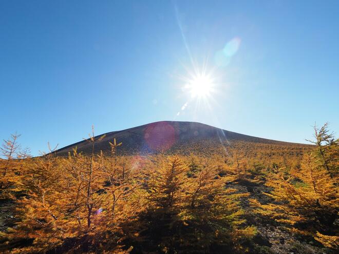 10月中旬から紅葉！  黄金色に染まる日本百名山「浅間山」 錦秋の外輪山ハイキング「黒斑山」＆「賽ノ河原・湯の平」の絶景！の画像003