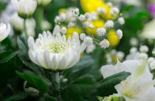 「墓前ピクニック」に「祭祀NG」の干支？  先祖が眠る山「沖縄のお墓参り」での意外な風習【寺娘の「地誌伝説」聞き語り】の画像003