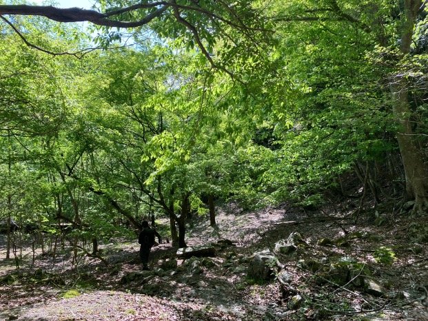 【首都圏近郊ハイキング】5月でもまだ花見ができる山「西丹沢・檜洞丸」への画像021