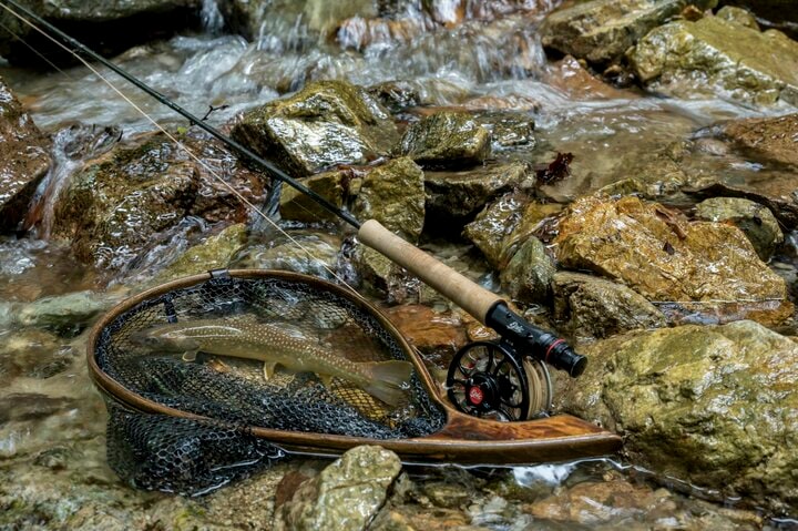 【渓流釣り】濃い魚影、素直な反応、そして良型イワナが飛び出した飛騨の渓！  岐阜県｜2026年 