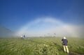 “まるっと楽しむ 尾瀬の山歩き” vol.2【群馬県 片品村】入山者数は最多！ 尾瀬の玄関口「鳩待峠」 憧れの木道歩き「尾瀬ヶ原」や高山植物の宝庫「至仏山」へアクセス良好！の画像002