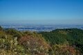 一度は行きたい！  紅葉シーズンの「高尾山」見ごろ＆混雑ピーク「11月攻略」には「早朝ハイキング」が最適！  絶景満喫レポの画像006