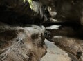 真夏のおすすめアクティビティ「洞窟探検」！  福岡県・北九州市、国の天然記念物「千仏鍾乳洞」でのアドベンチャー体験レポートの画像002