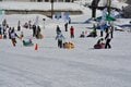 ファミリースキー情報メディア『ハピスノ』雪上運動会が復活！ 豪雪地「ニュー・グリーンピア津南」で全15家族が雪をもとかす真剣勝負！ 【新潟県観光協会×ハピスノ】の画像005