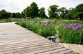 梅雨空の絶景！  東京23区に咲く花菖蒲の4名所「堀切菖蒲園」「水元公園」「小岩菖蒲園」「しょうぶ沼公園」で江戸の風流を感じる【東京都・葛飾区/江戸川区/足立区】の画像007