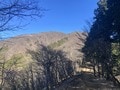 見晴らし抜群の冬こそ登りたい！ 丹沢「大山」地平線が丸く見える？ 関東平野を一望する、山頂からの絶景！ ヤビツ峠コース「登山レポ」の画像002