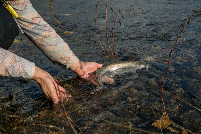 通年で渓流釣りが楽しめる！  山里を流れる「五十嵐川」のキャッチアンドリリース区間【フライフィッシング】 新潟県三条市・2025年の画像002