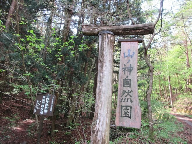 長野県『信州の里山・総選挙！冬山編』第1位！「霧訪山」は春から初夏にはカタクリやニリンソウの群生 “お花畑トレッキング” がおすすめ【塩尻市・辰野町】の画像001