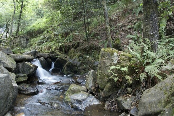 あなたの「アウトドア不思議体験」はコレかも！？  背筋も凍る “謎の一夜” と「アジアの霊魂観」でみる “その場に留まる記憶”【寺娘の「地誌伝説」聞き語り】の画像003