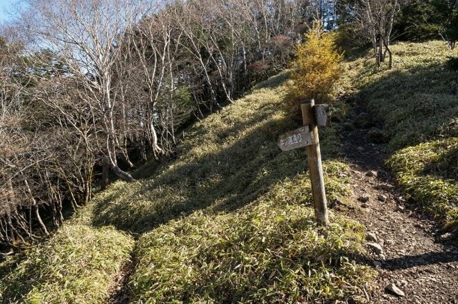 【首都圏近郊ハイキング】日帰りでもしっかり歩ける穴場「牛の寝通り」で紅葉大満喫の画像014