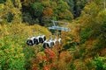 【2024年10月 第4週】今週末の紅葉の見ごろは？  名所＆人気スポットの最新情報をお届け「WEEKLY紅葉ニュース」の画像002