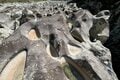 「滝の垂直壁をグイグイ登る “渓流のクライマー”」 オーバーハングも乗り越える小さなハゼの大きな挑戦に思わず胸キュン！  和歌山県｜2026年の画像002