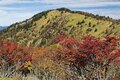 この秋に行きたい！ 至極の紅葉登山【最終回】今が見ごろ、まだ間に合う関東近郊の「浅間山・丹沢山・大菩薩嶺」の画像008